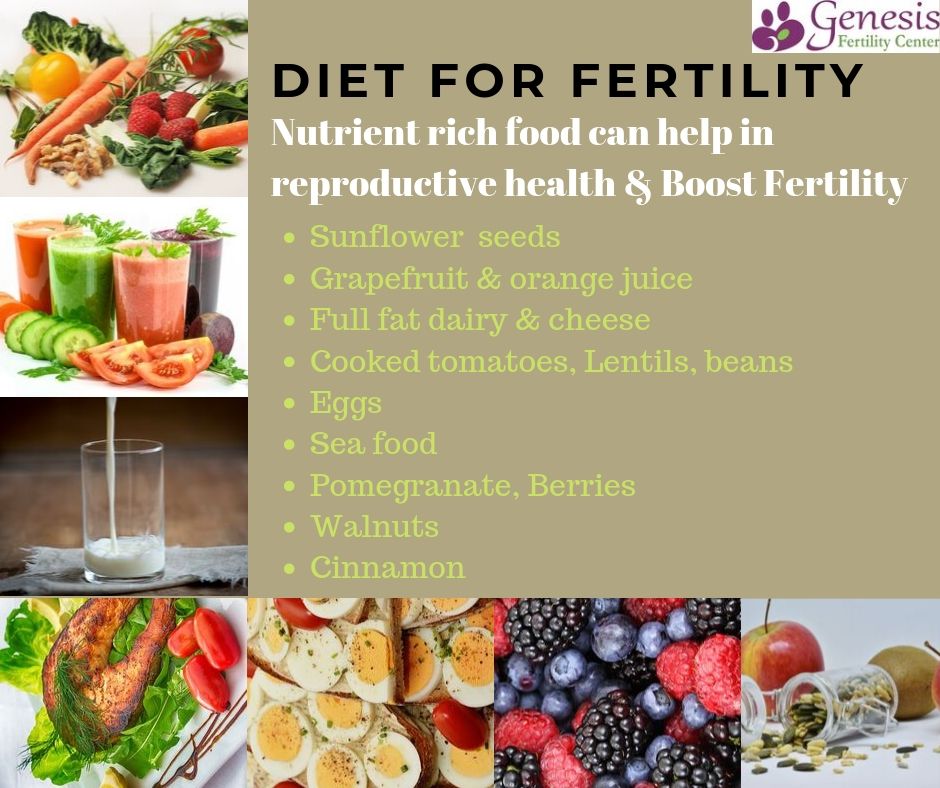 Diet in Fertility
