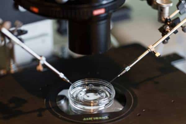 Finding the Right IVF Treatment: What You Need to Know